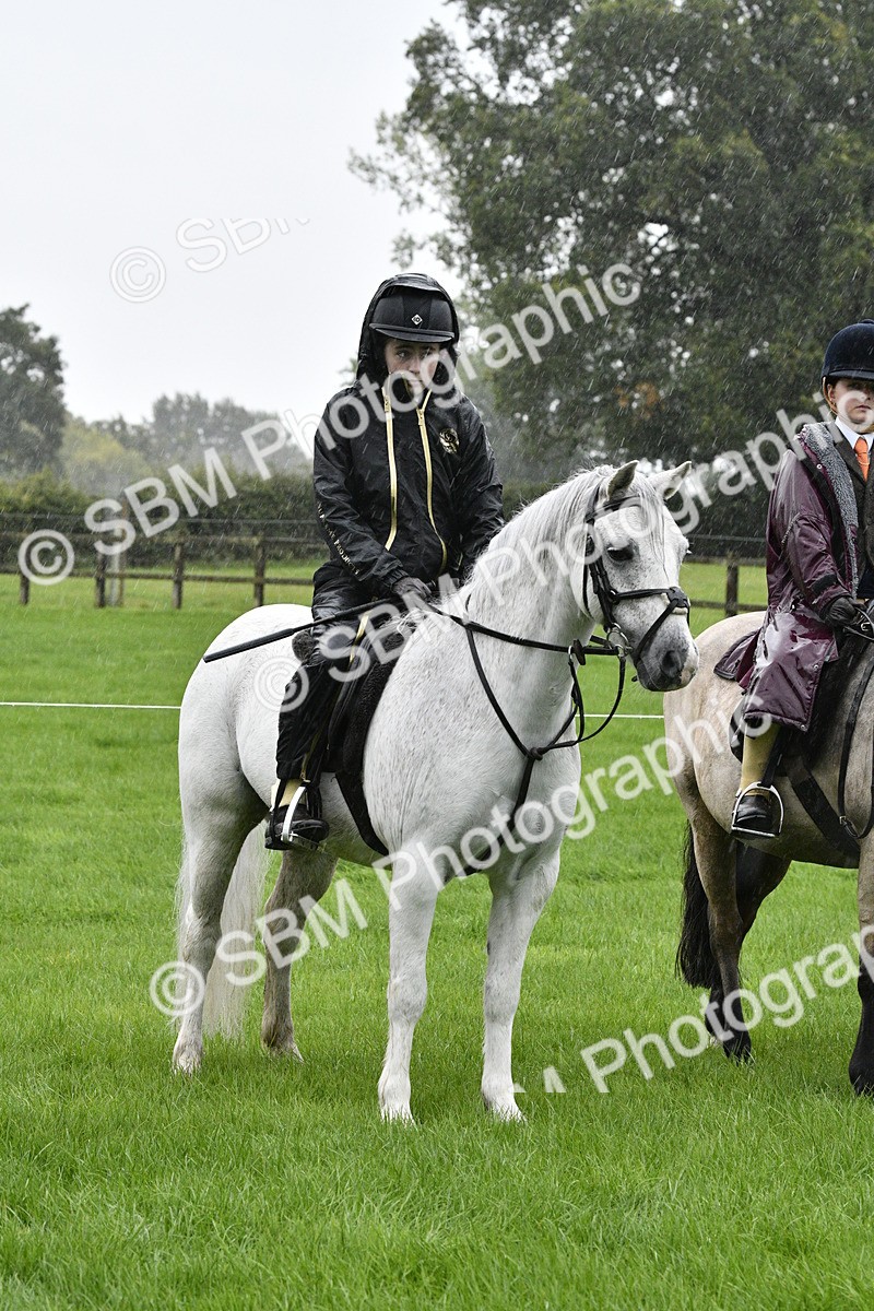 SBM_35562 - S30 - Nursery Stakes Working Hunter Pony