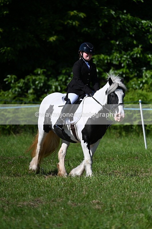 WJ7_0536 - Class 8 First Rally Pony