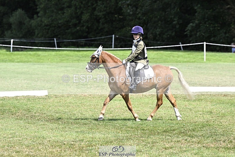 250822A-122136-22722 - DR 11.00 to 12.00