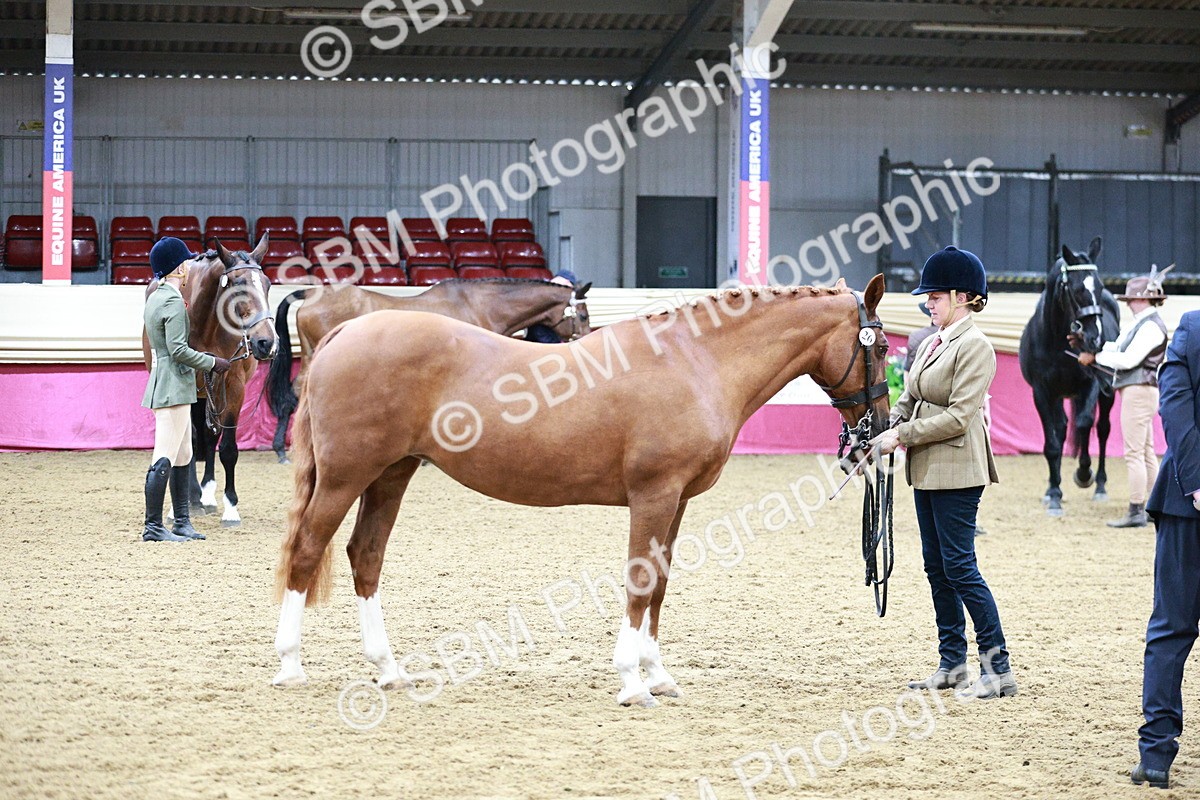 SBM_00256 - Class 1A - Area IH Diamond
