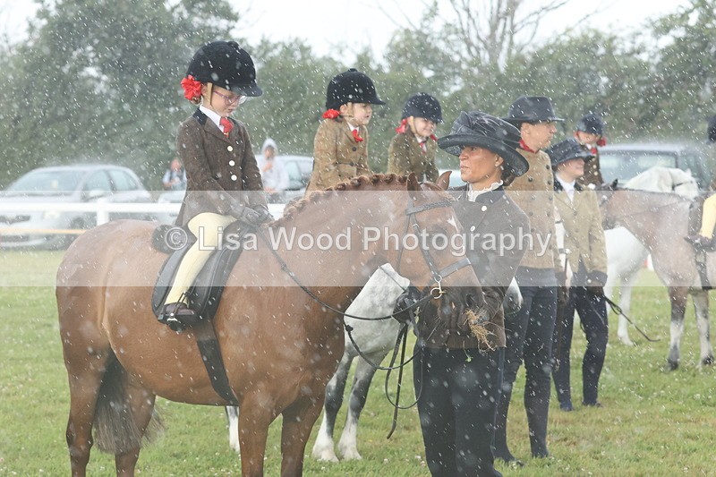 JPP_0377 - Class 14: Cornish Combination Leading Rein
