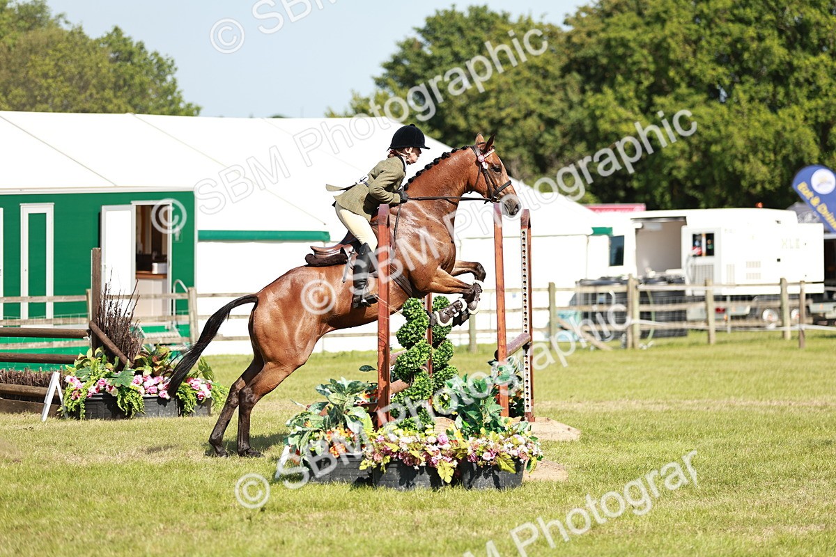SBM_18837 - Class 114 - RIHS & SEIB Open Working Show Horse