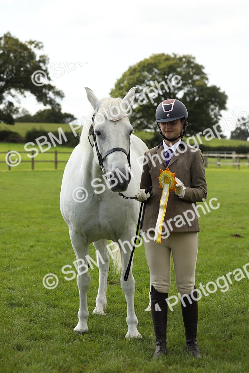 SBM_65551 - S47 - Mountain & Moorland In Hand Large Breeds