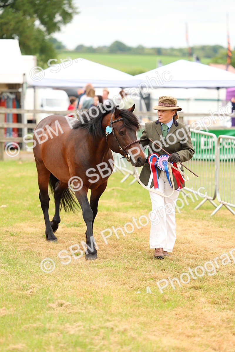 SBM_03550 - Class 58-67 - M&M Non Welsh Pony In hand