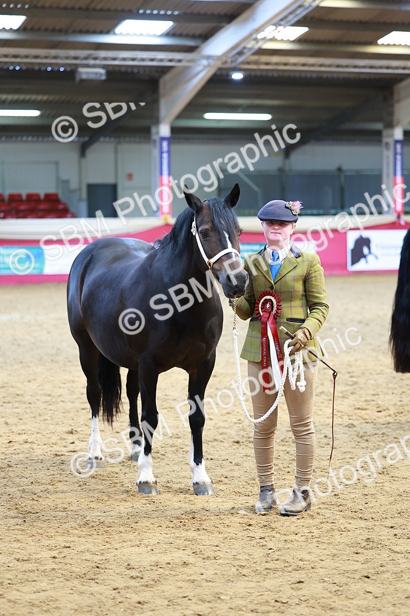 SBM_04342 - Class 9R - IH Pre-Vet