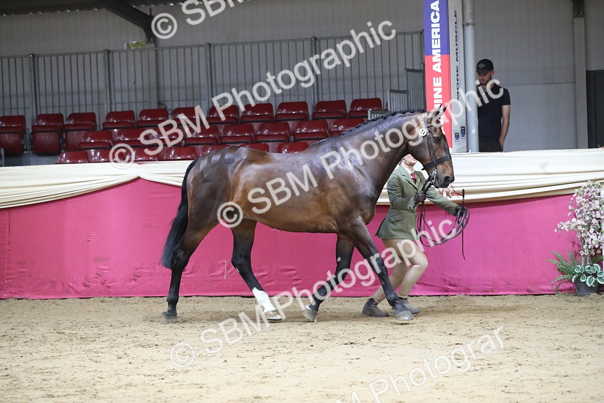 SBM_04998 - Class 8R- Regional -IH Veteran