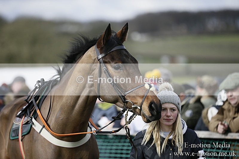 PtP 040218 4 - Point-to-Point Milborne St Andrew 04/02/18