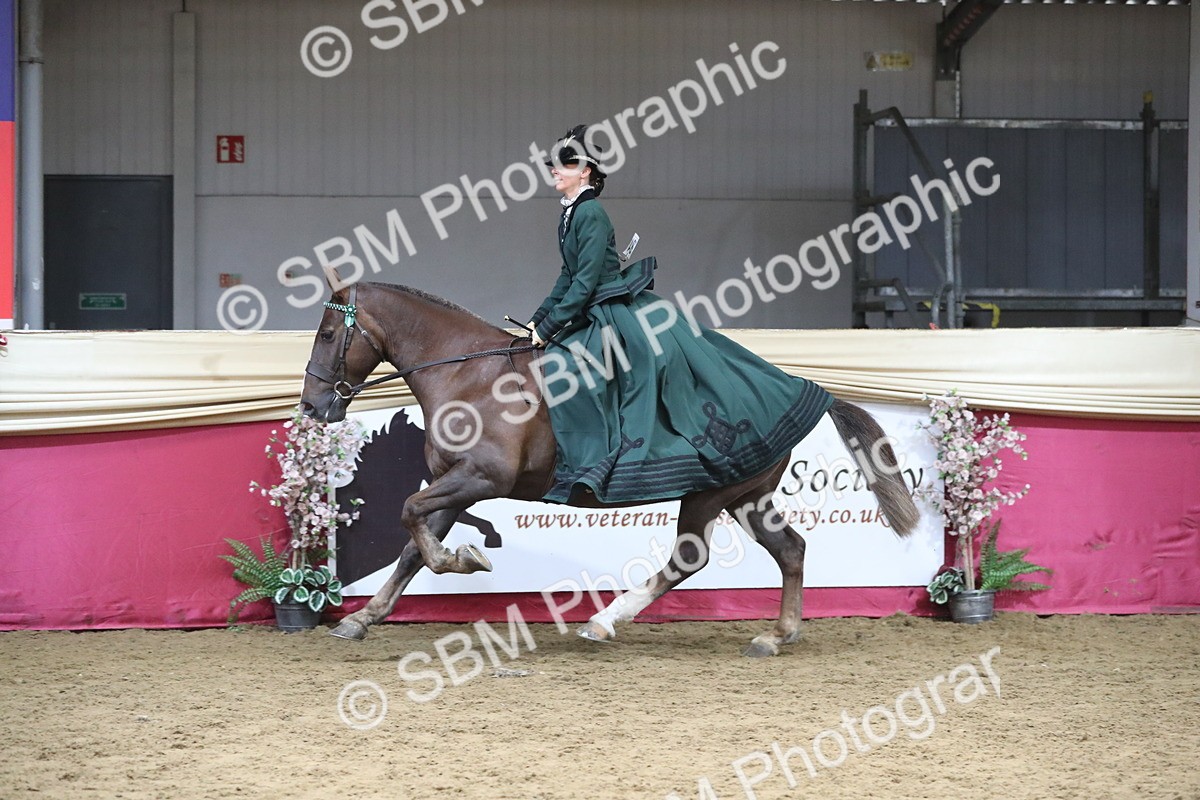 SBM_12146 - Class 107 Ridden Costume- Astride Adult (20+)