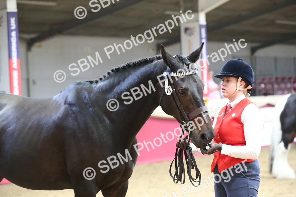 SBM_06421 - Class 9R Regional- IH Pre Vet