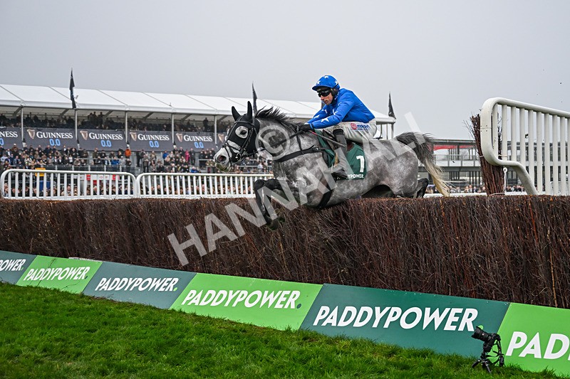 151125-Race 3-Be Aware--2984 - Race 3