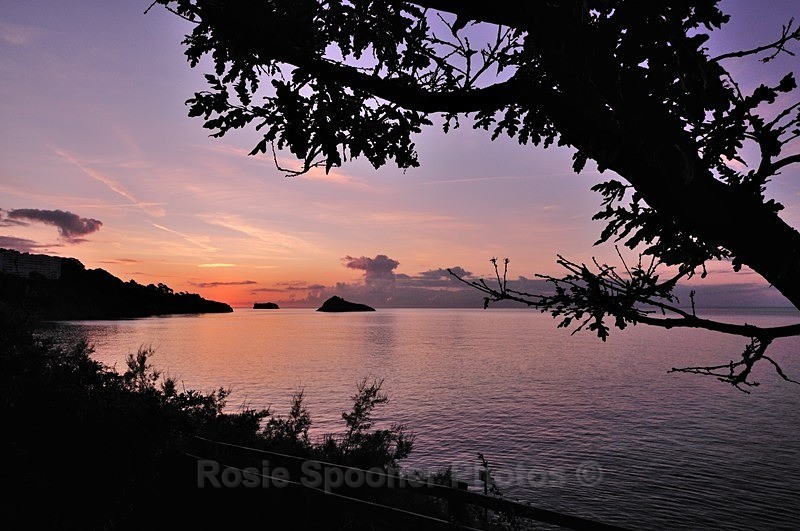 Meadfoot Beach Sunrise and trees in silhouette - Meadfoot Beach Torquay