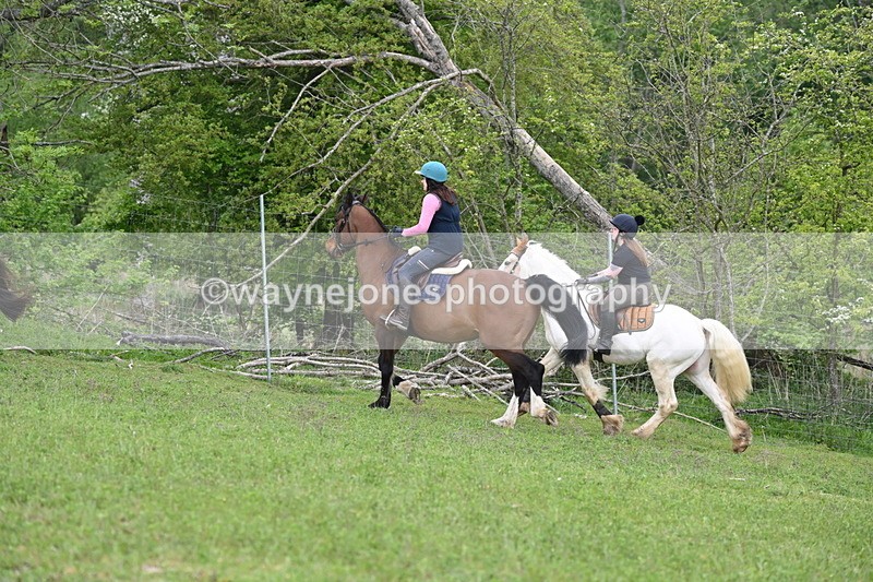 WJ6_3238 - A camera