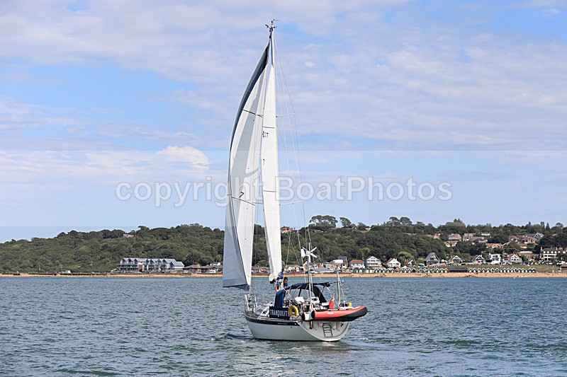 190729 TRANQUILITY 1Y3A6444 - 190729 TRANQUILITY