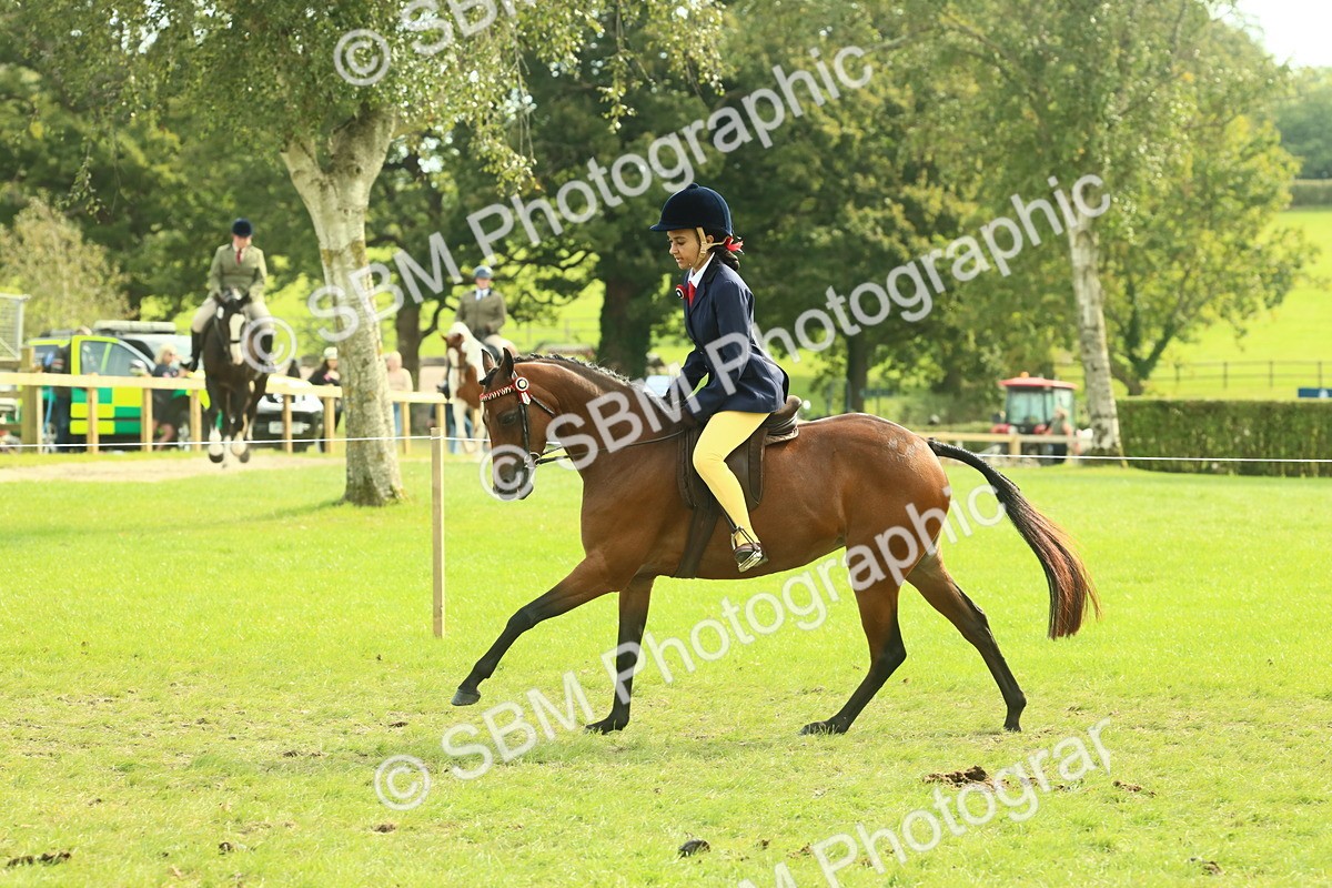 SBM_68095 - S57 - Part Bred Pony Ridden