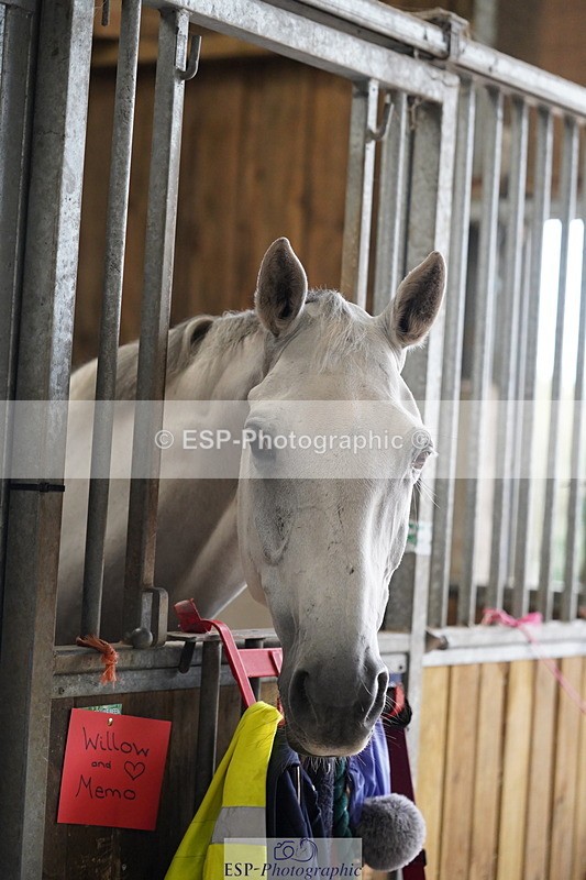 240809A-134700-01020 - Stable Shots