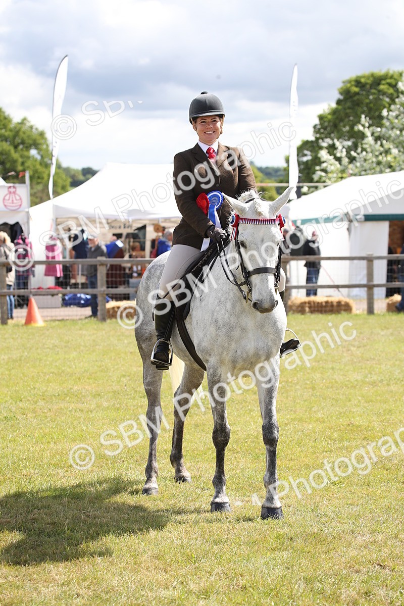 SBM_13339 - Class 95-96 - LIHS BSHA Rising Star Hack Riding Horse