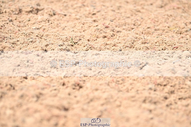 240621A-142814-03929 - Cls 11 BD Medium 73