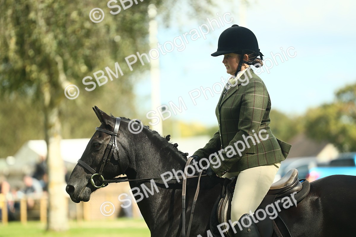 SBM_42077 - S29 - Novice & Newcomers Working Hunter Pony