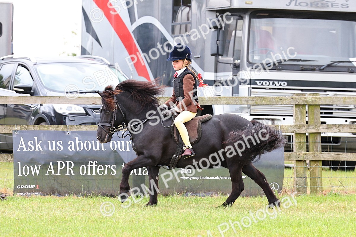 SBM_08677 - Class 42-43 - LIHS BSPS Heritage Working Sports Pony