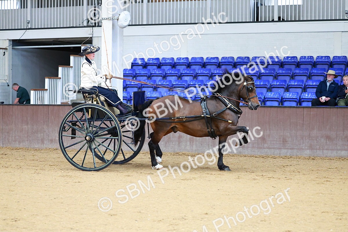 SBM_000175 - Class 3 - Alison Thomas Memorial Lady Whip