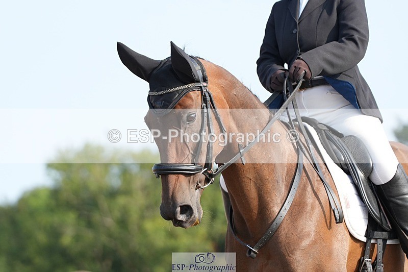 250815-091031-00038 - 005-Patricia.HaskinsGaelic.Surprise