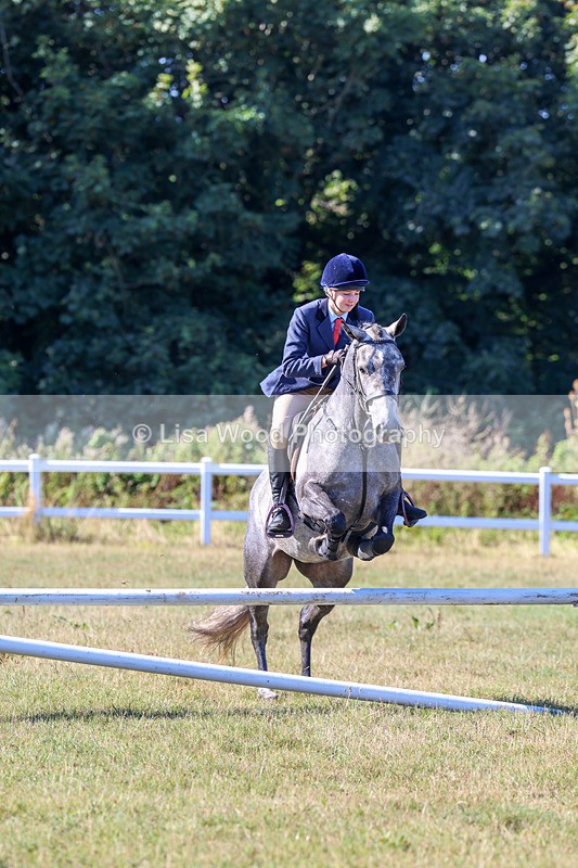 3E7A5450 - Class 3: Working Hunter 70cm