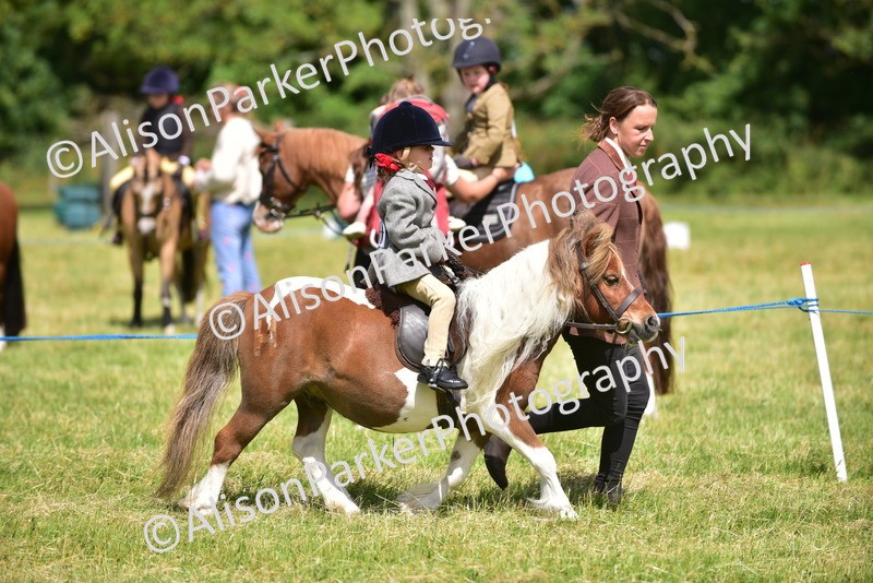 20260614-1171 - Class 11a - Lead Rein Pony (Unplaited)