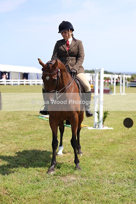 3E7A9437 - Class 12: Open Racehorse to Show Horse