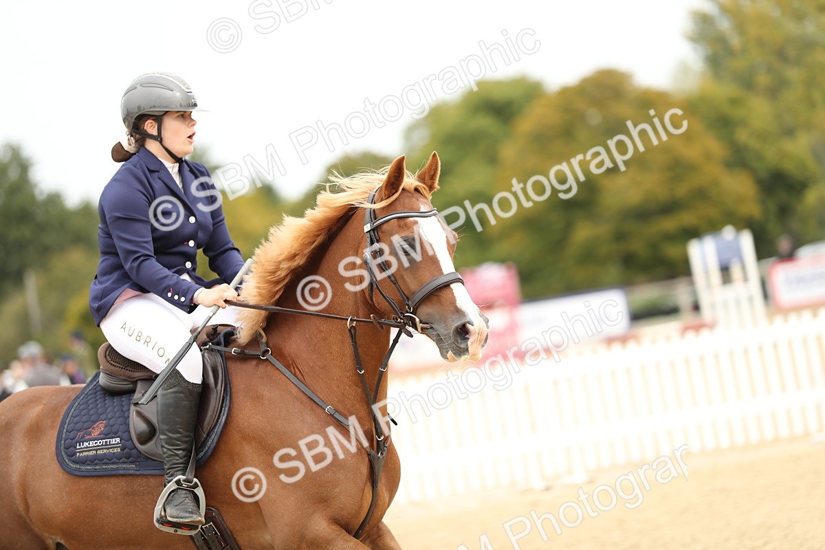 SBM_59417 - J25 - Junior Horse 80cm Championship