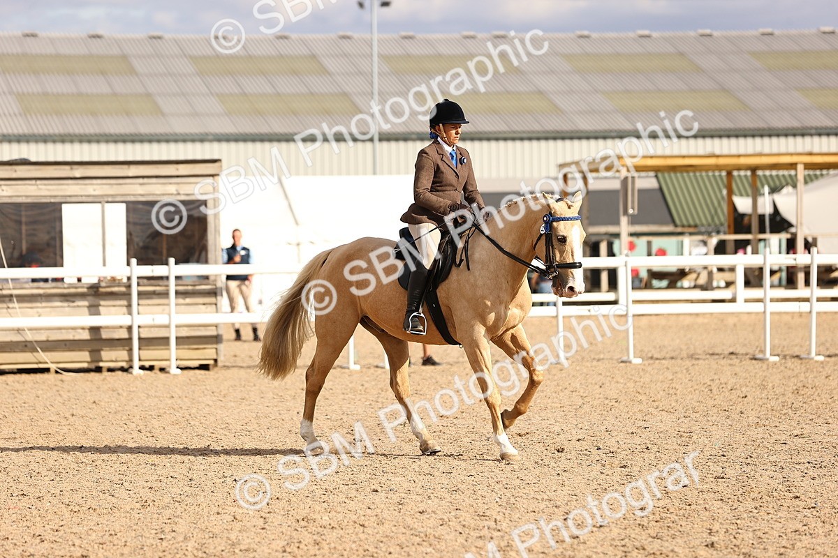 SBM_18218 - Class 423 - Equitation (best rider) Adult