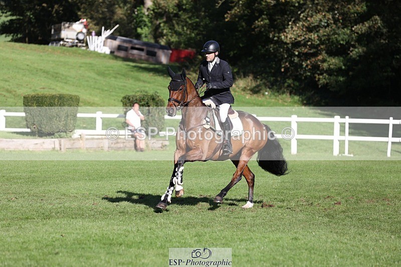 231022-113606-25265 - 683-ALVESCOT.FIVE.STAR-Mark.Ford-TrotUp+SJ