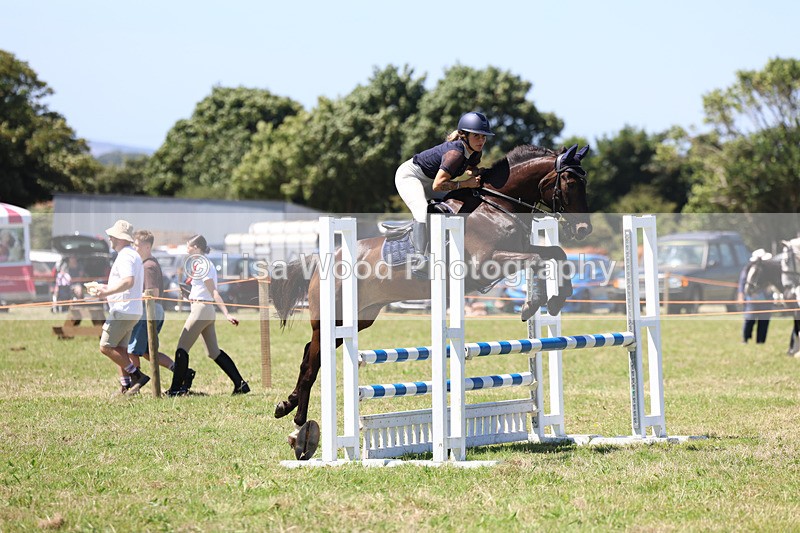 3E7A5684 - Class 9: Senior British Novice/90cm open