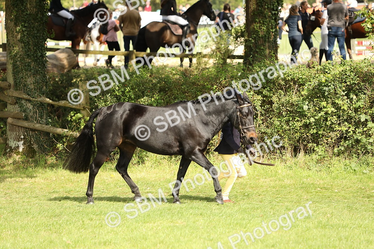 SBM_68516 - S40 - Junior Handler 9-12 Years