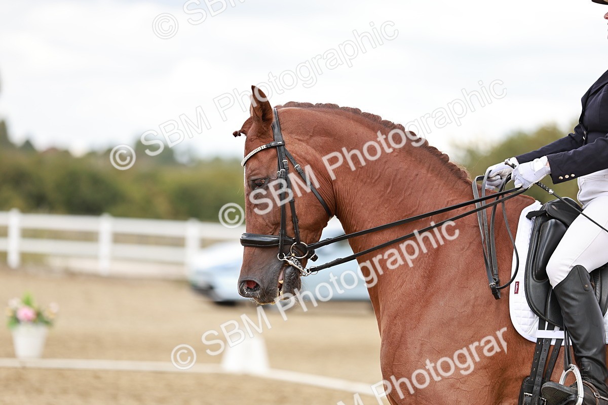 SBM_005583 - Class 5 - FEI PSG - 13.54.14.58