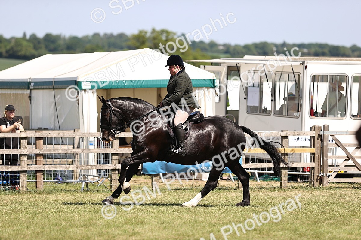 SBM_17912 - Class 81-83 - TSR Ridden Amateur of the Year - Horses