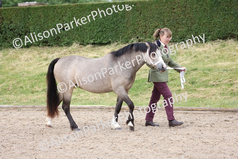 20250524-0090 - Class 2 - Youngstock