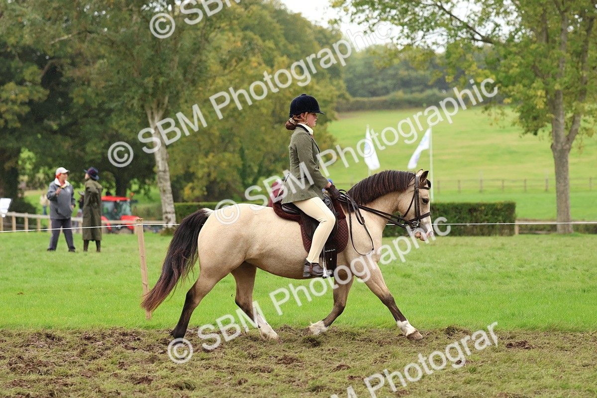SBM_69564 - S62 - Mountain & Moorland Ridden Large Breeds