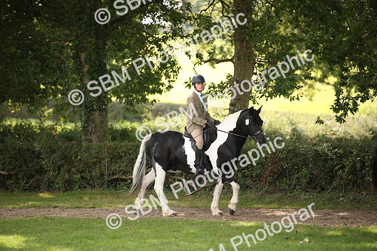 SBM_70064 - S65 - Piebald & Skewbald Horse Ridden