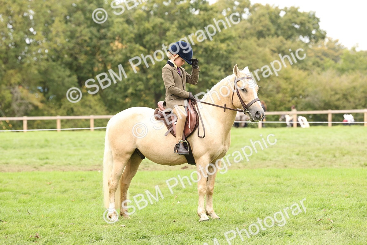 SBM_63044 - S64 - Foreign Breeds Ridden