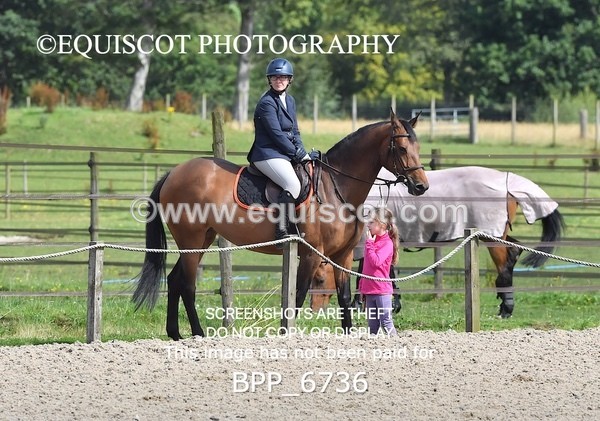 BPP_6736 - CLASS 3 Senior BritiNovice/ 90cm Open