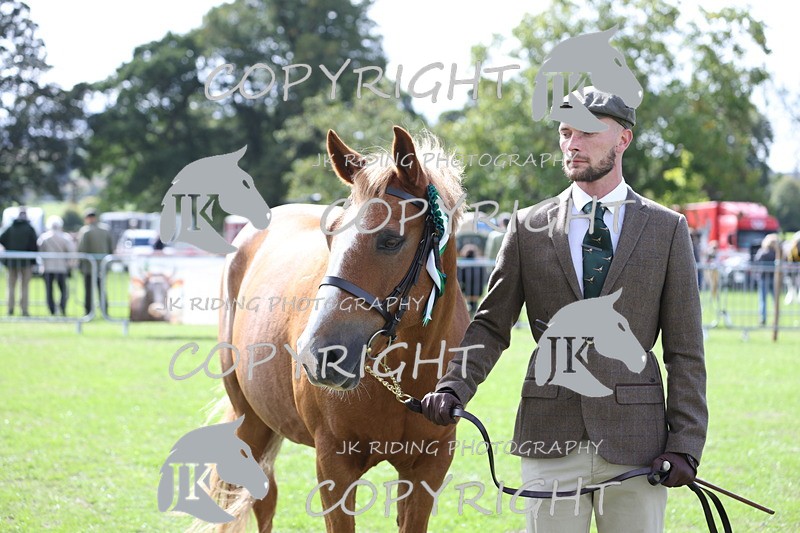 APP_2995 - Class 10a/b M&M in hand