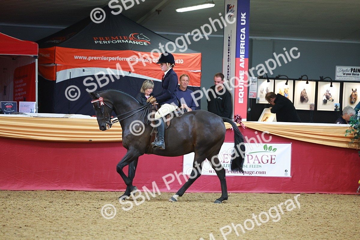 SBM_10666 - Class 103 - HOYS Veteran Qualifier - Ridden Pre Vet