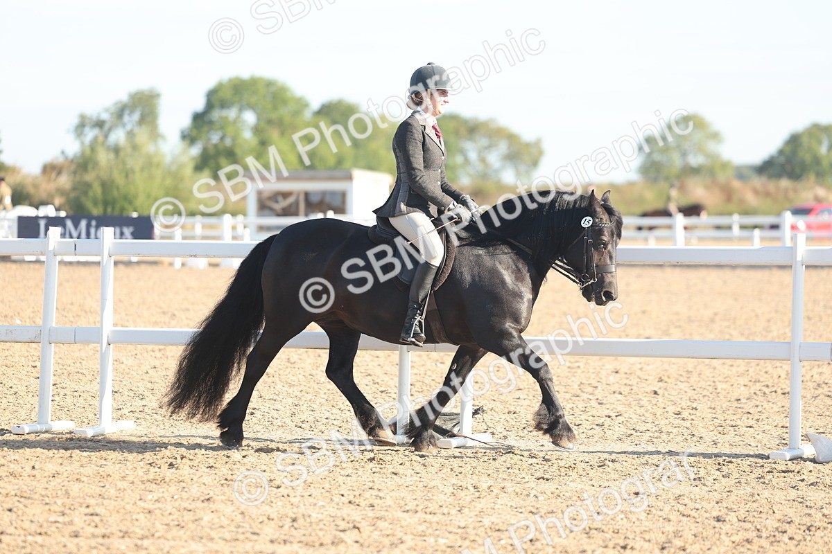 SBM_10975 - Class 302 - Ridden M&M Large Breeds