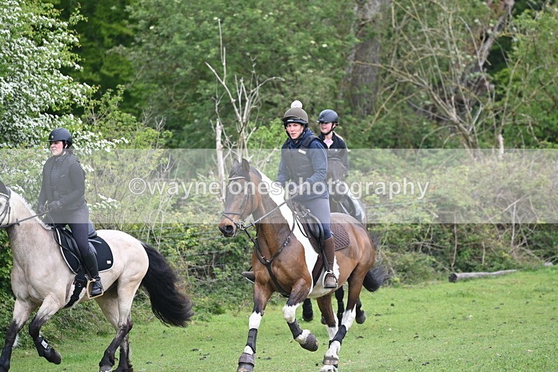 WJ6_2822 - A Camera
