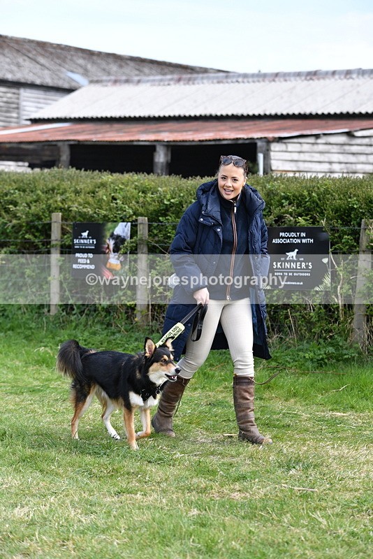 WJ5_0767 - Best in Show Championship
