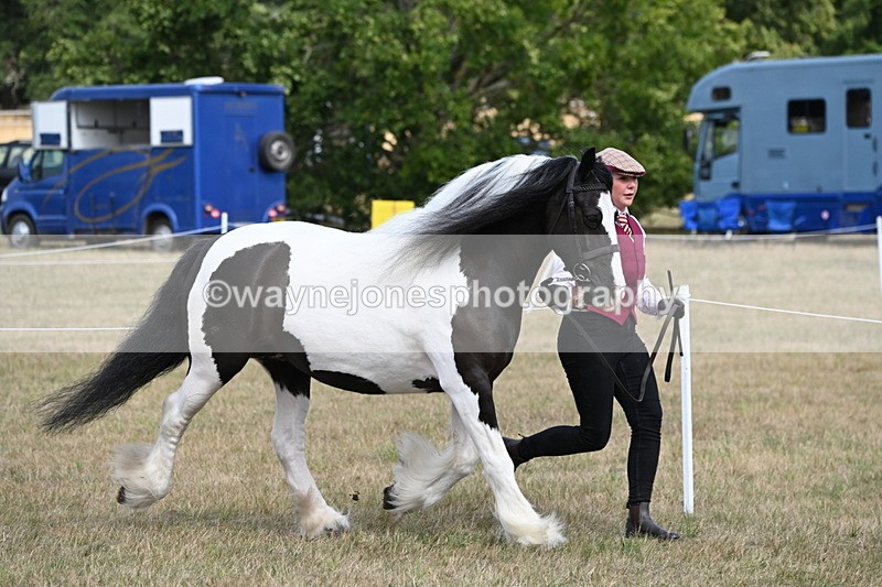 WJ6_6515 - Class 20 In-hand Cob