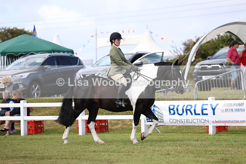 3E7A0139 - Class 6: Rising Star Maxi Cobs