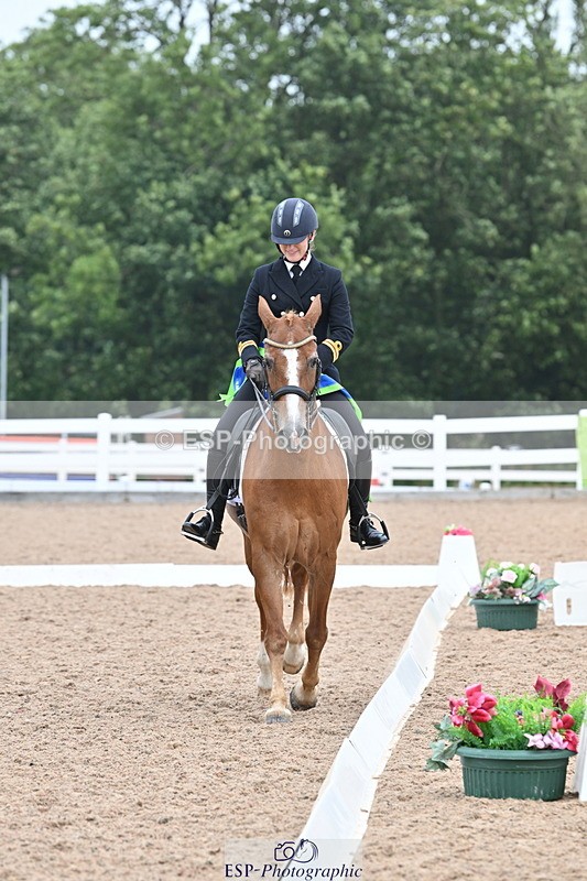 240815A-131709-01325 - Cls 2-P Adv Medium Silver