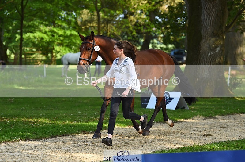 230524-171606-01390 - 171-SLANEYSIDE_COOLEY-Lara_Chapple-WEDTrotUp+DR