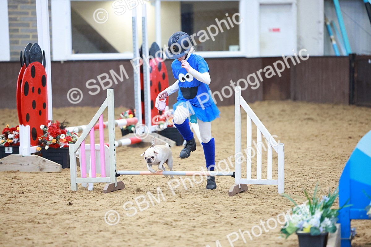 SBM_002136 - Class 3 - Horse & Hound (60cm)